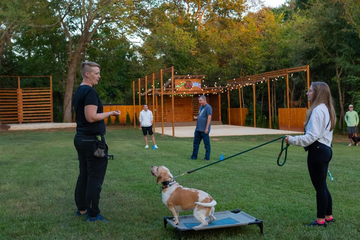 - Manjal Manor - Dog Training in Huntersville at Manjal Manor by Command Canine 18
