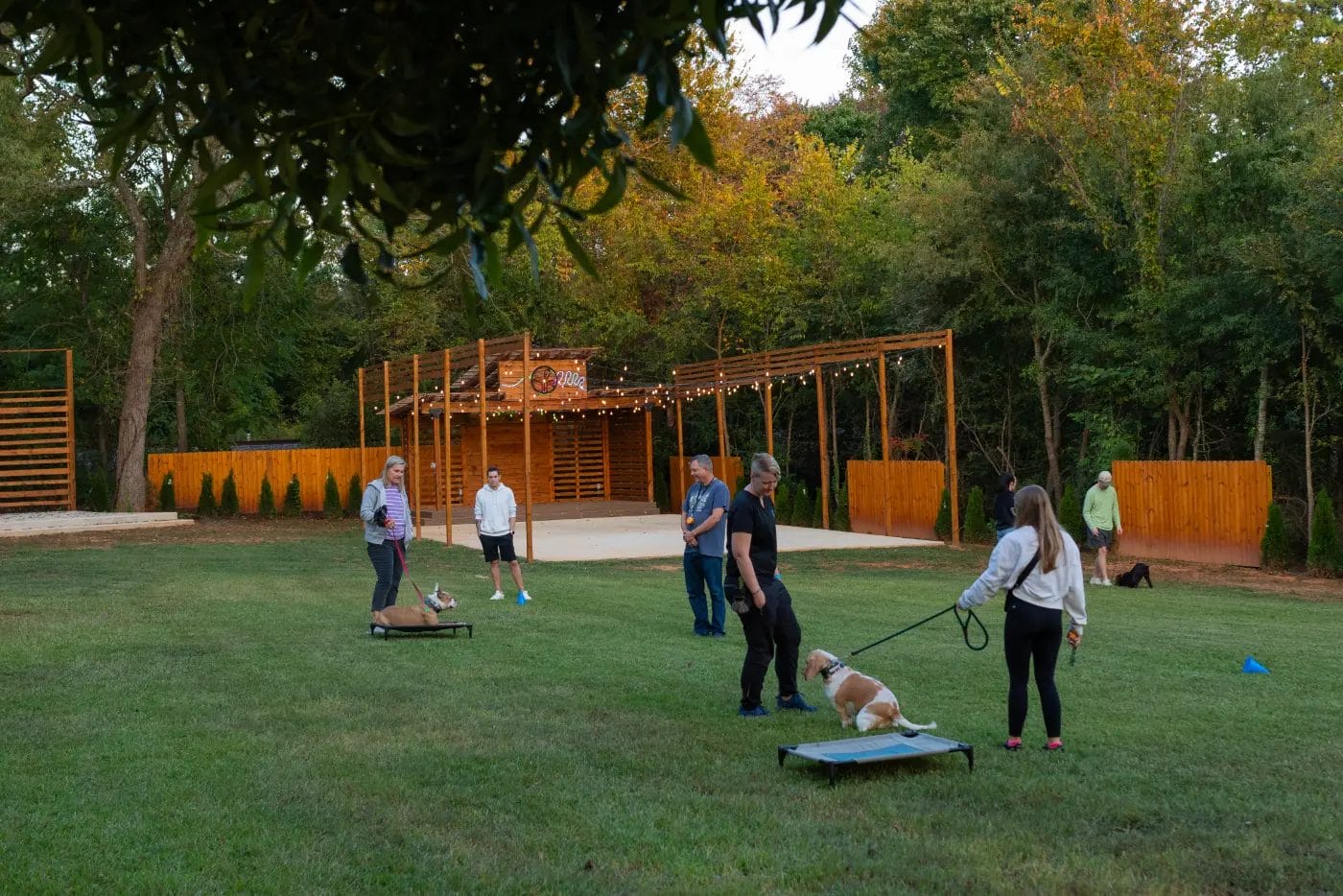 - Manjal Manor - Dog Training in Huntersville at Manjal Manor by Command Canine 19