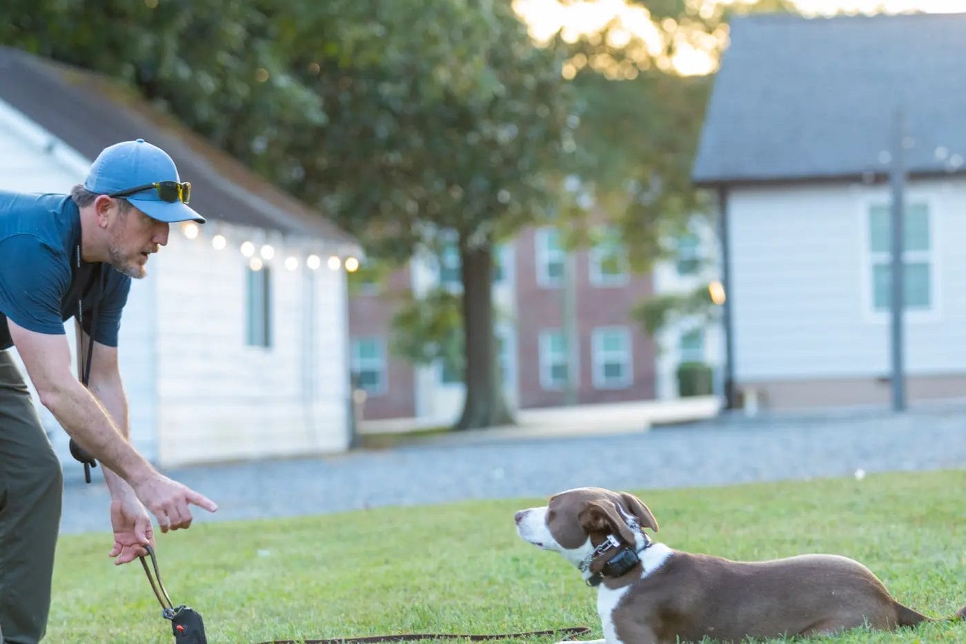 - Manjal Manor - Dog Training in Huntersville at Manjal Manor by Command Canine 2