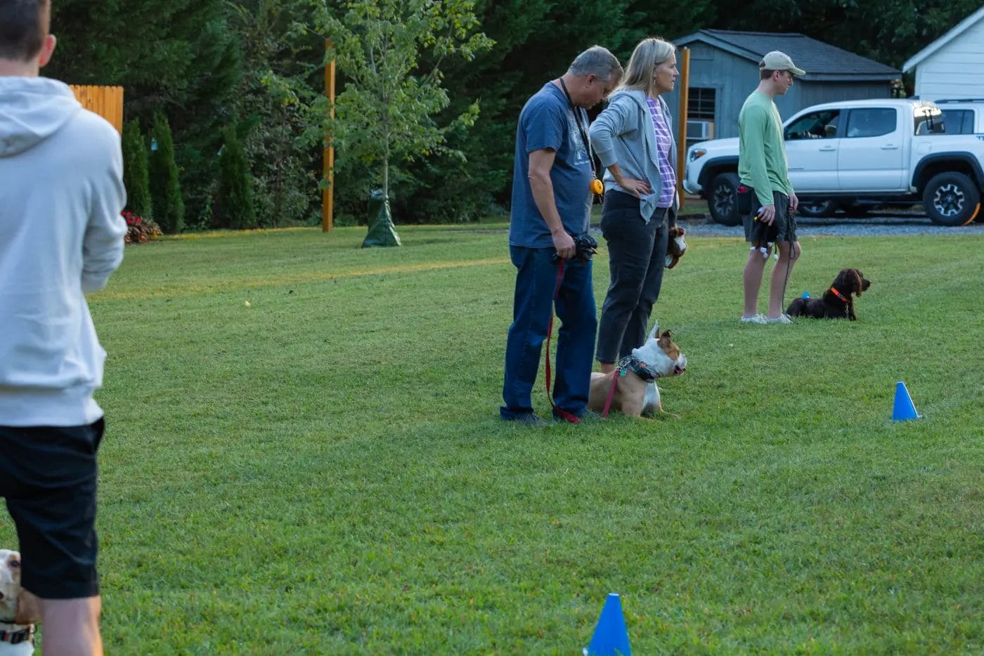- Manjal Manor - Dog Training in Huntersville at Manjal Manor by Command Canine 7